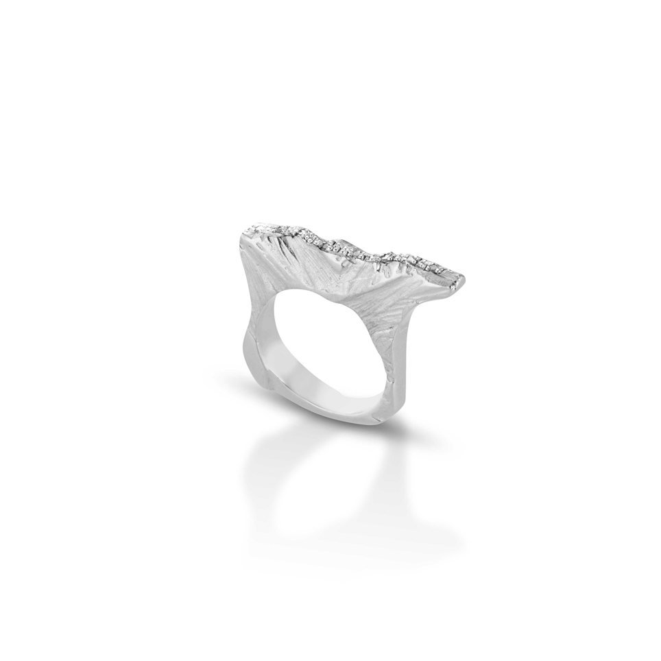 Silver ring and diamonds